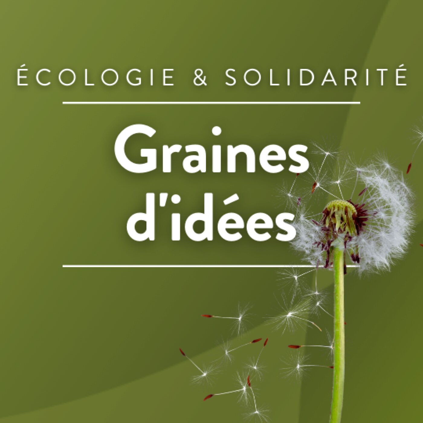 Graines d'idées