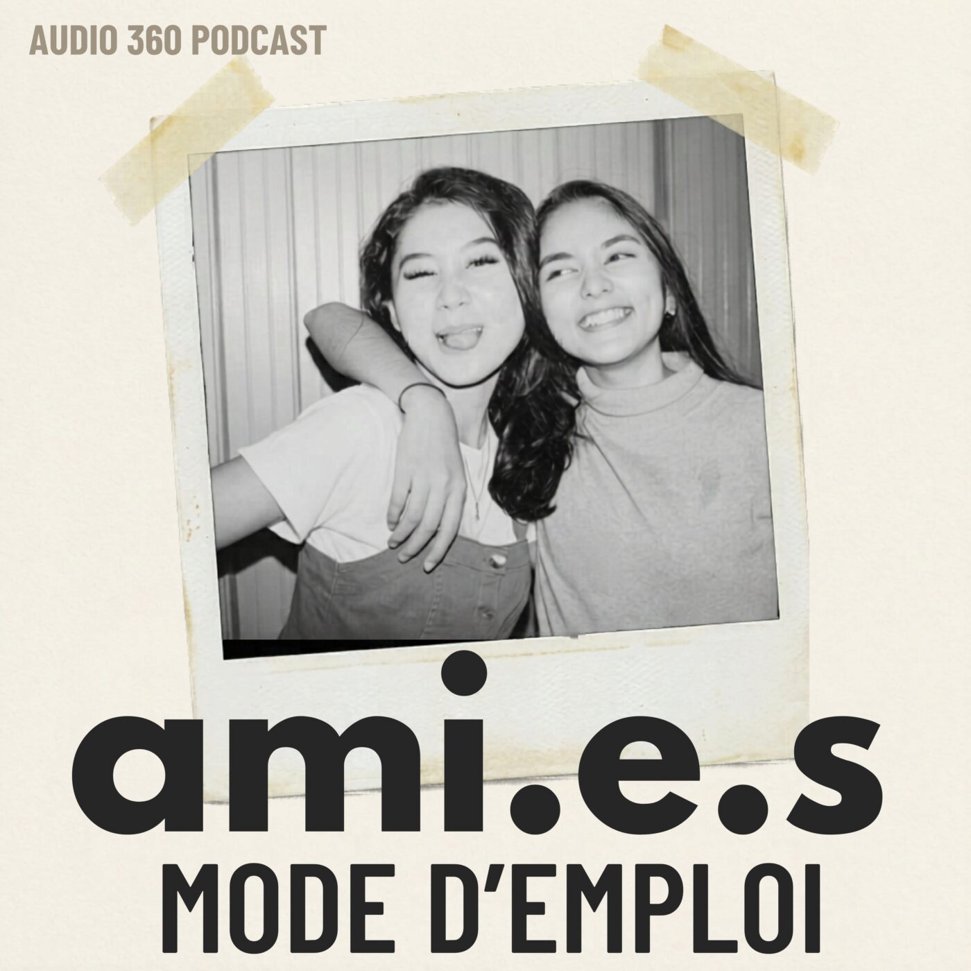 Ami.e.s, mode d'emploi