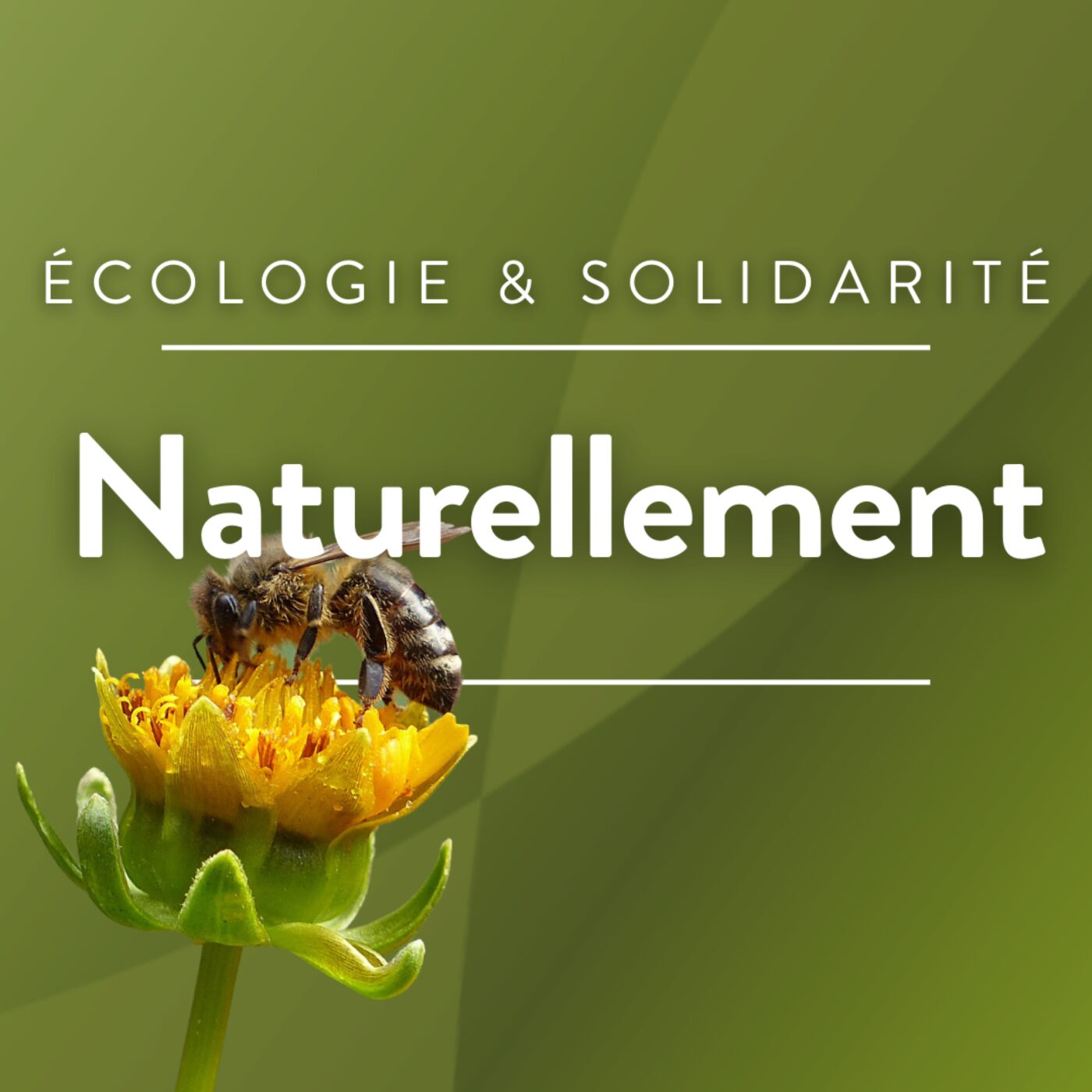 Illustration du podcast Naturellement