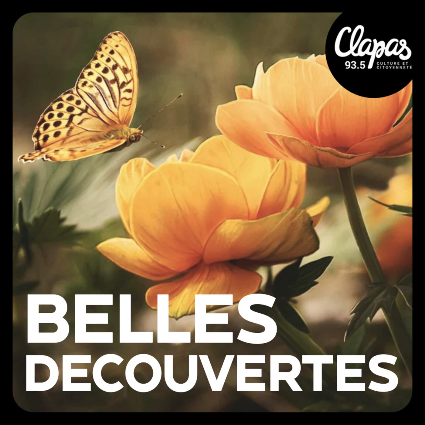 episode cover La méthode Feldenkrais, avec Violaine de l'association Affordance