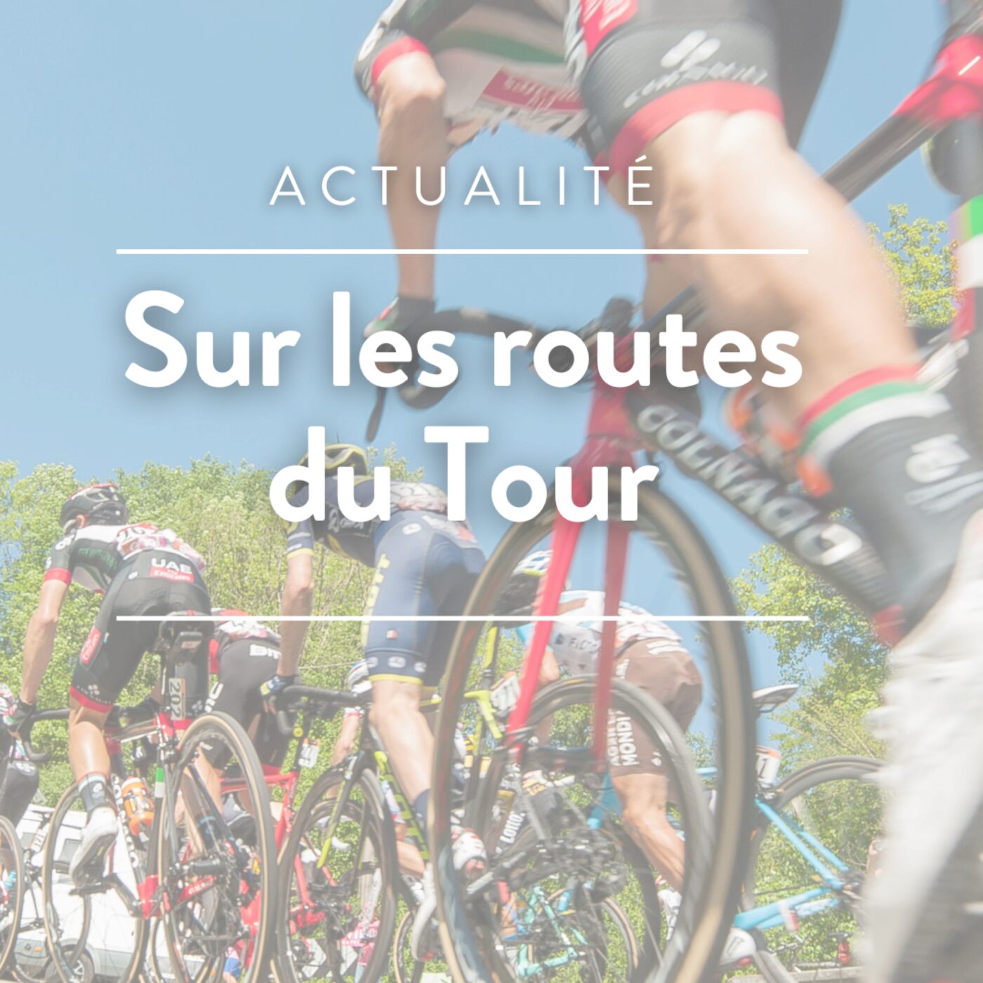 Sur les routes du Tour 