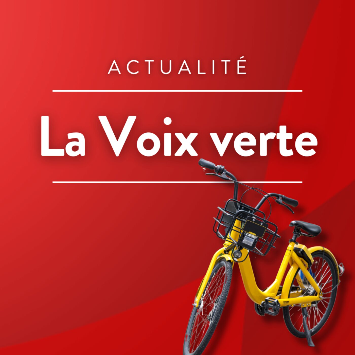 999a2536 2930 4b2a 83e0 08be205a0081