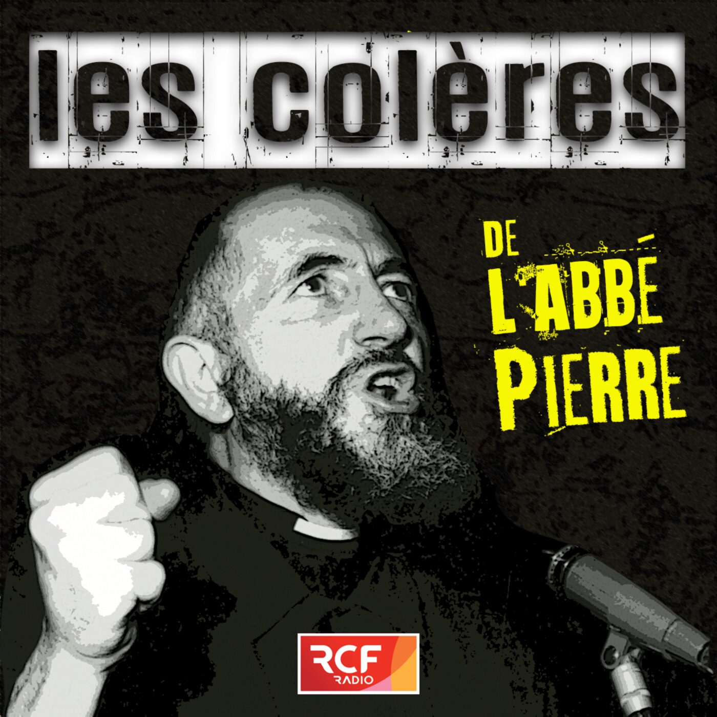 Les Colères de l'abbé Pierre