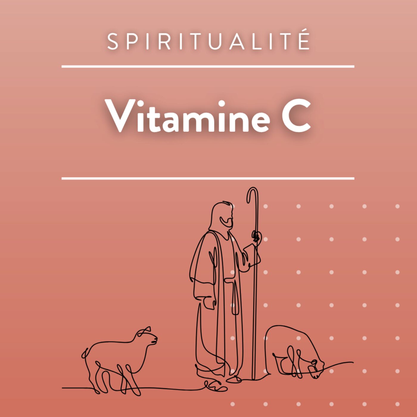 Rencontre diocésaine en soutien aux personnes séparées, divorcées ou remariées episode artwork