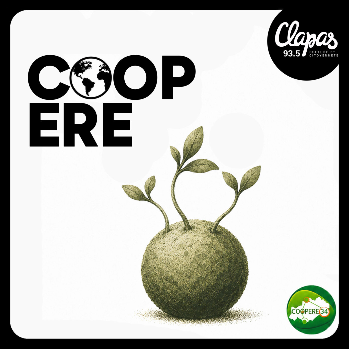 episode cover 50 idées fausses sur les abeilles avec Aurélien Ausset 