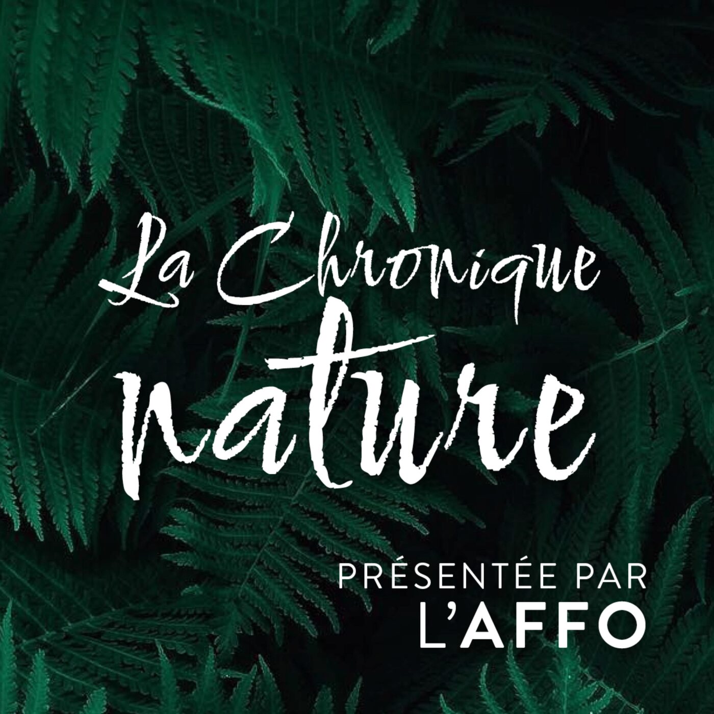 La chronique nature