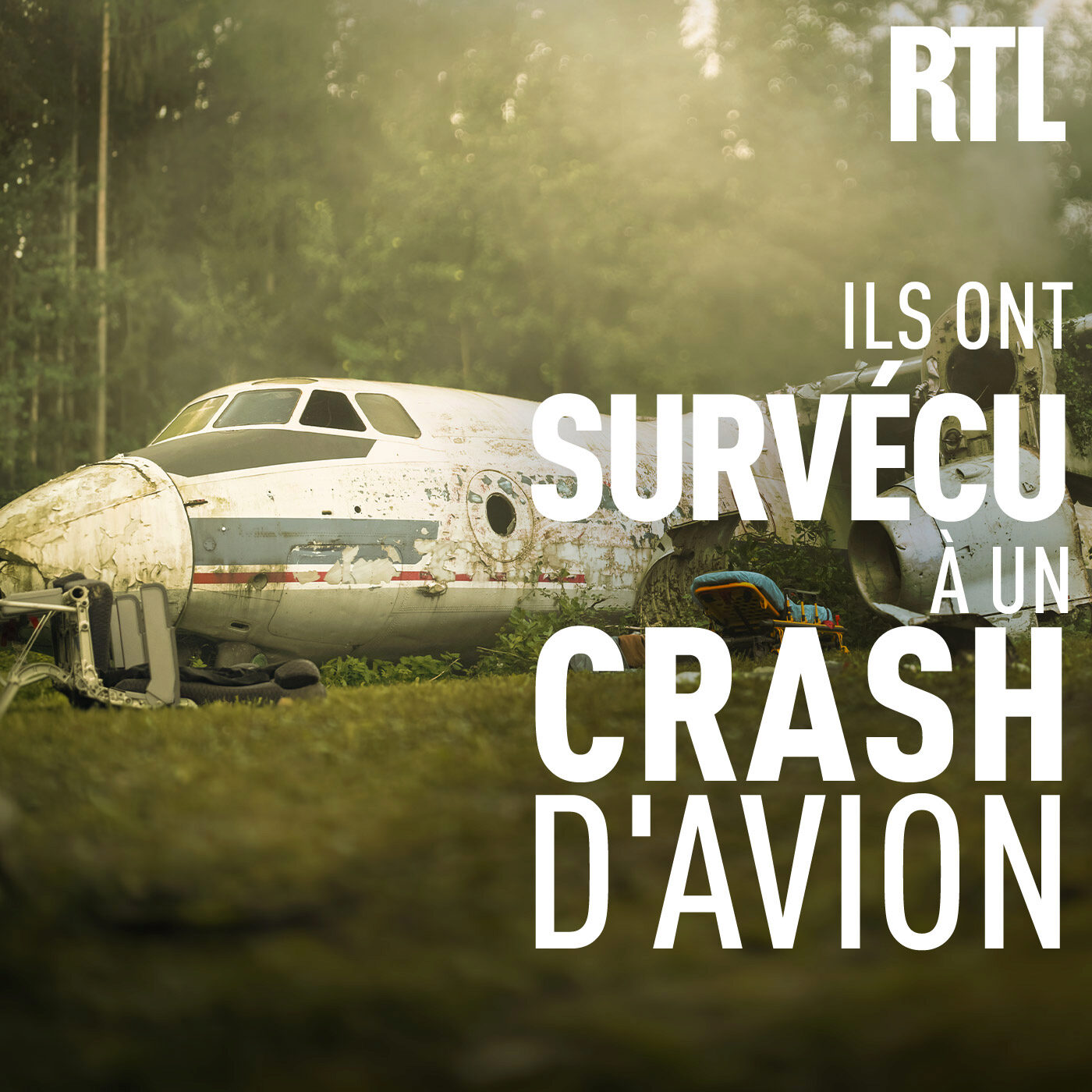 Ils ont survécu à un crash d'avion podcast artwork