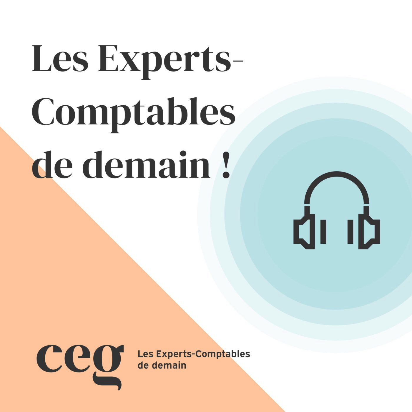 Les Experts-Comptables de demain !