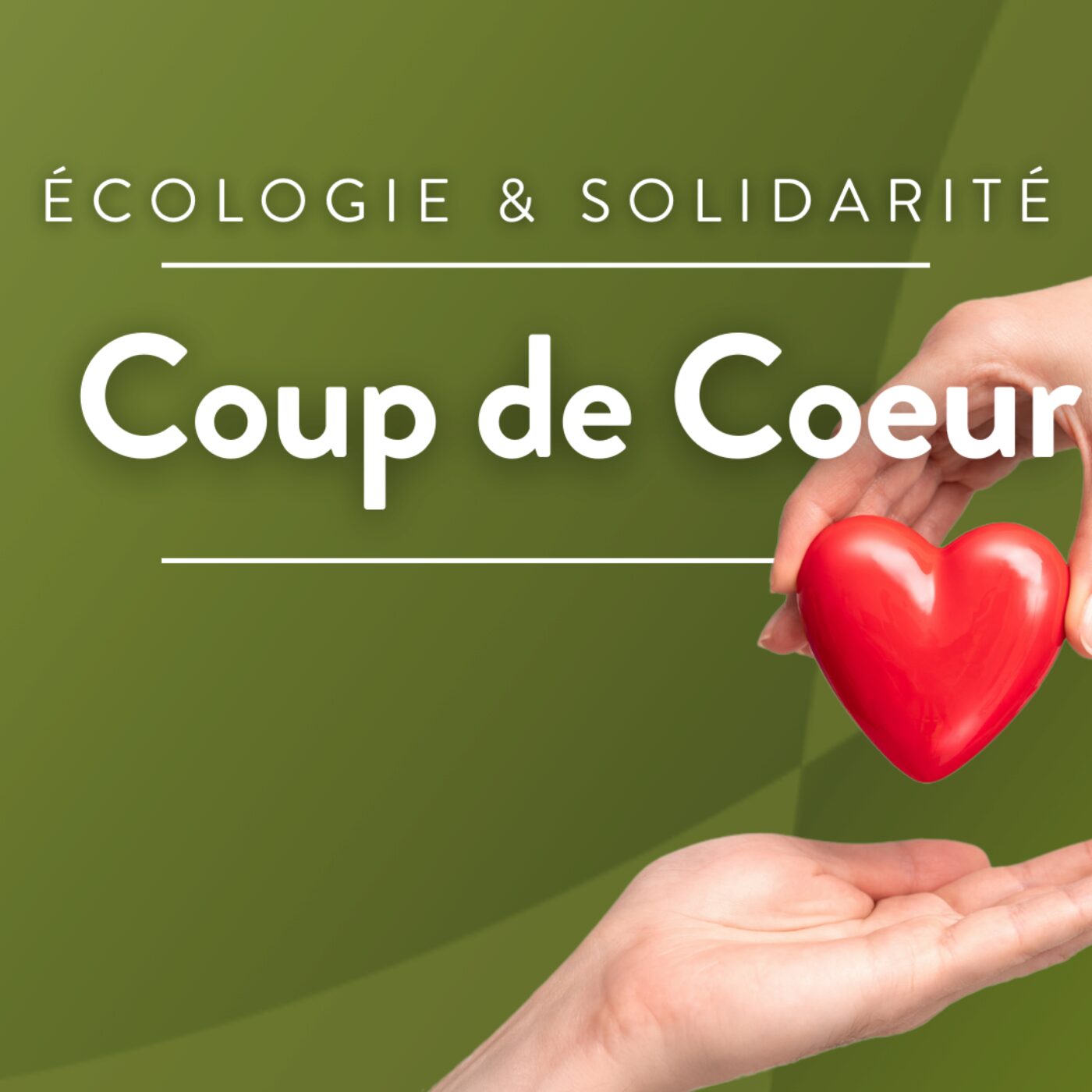 Coup de cœur