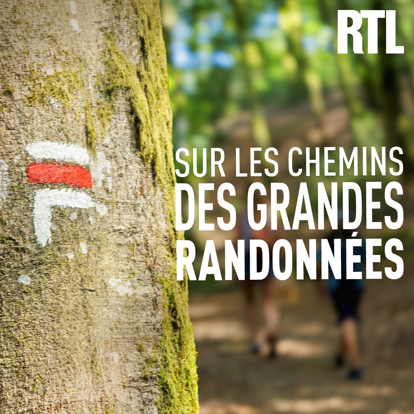 Sur les chemins des grandes randonnées