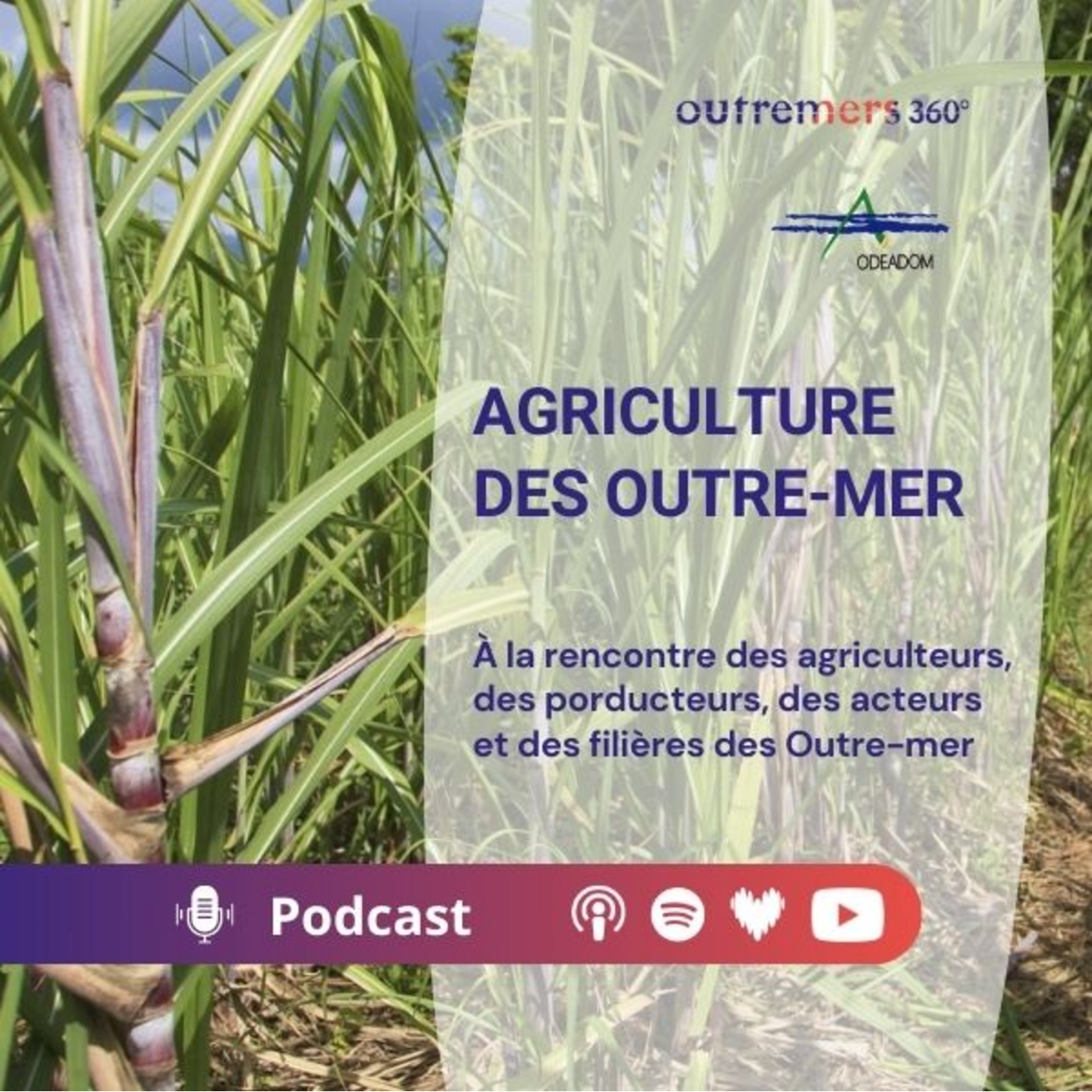 Agriculture des Outre-mer 2026 cover art