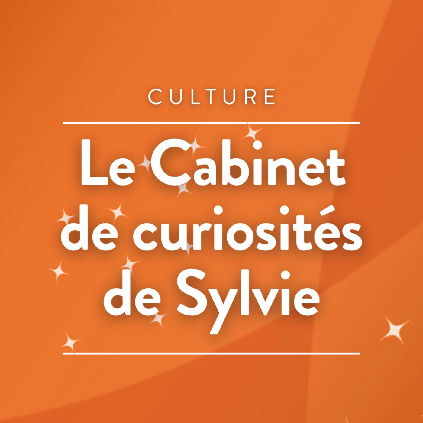 Le Cabinet de curiosités