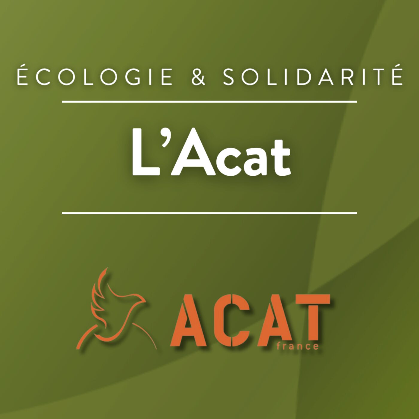 L'ACAT