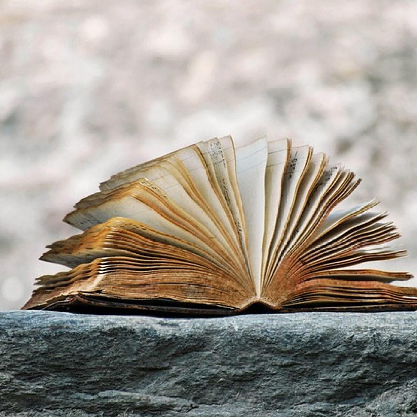 L\'Histoire à Livres Ouverts