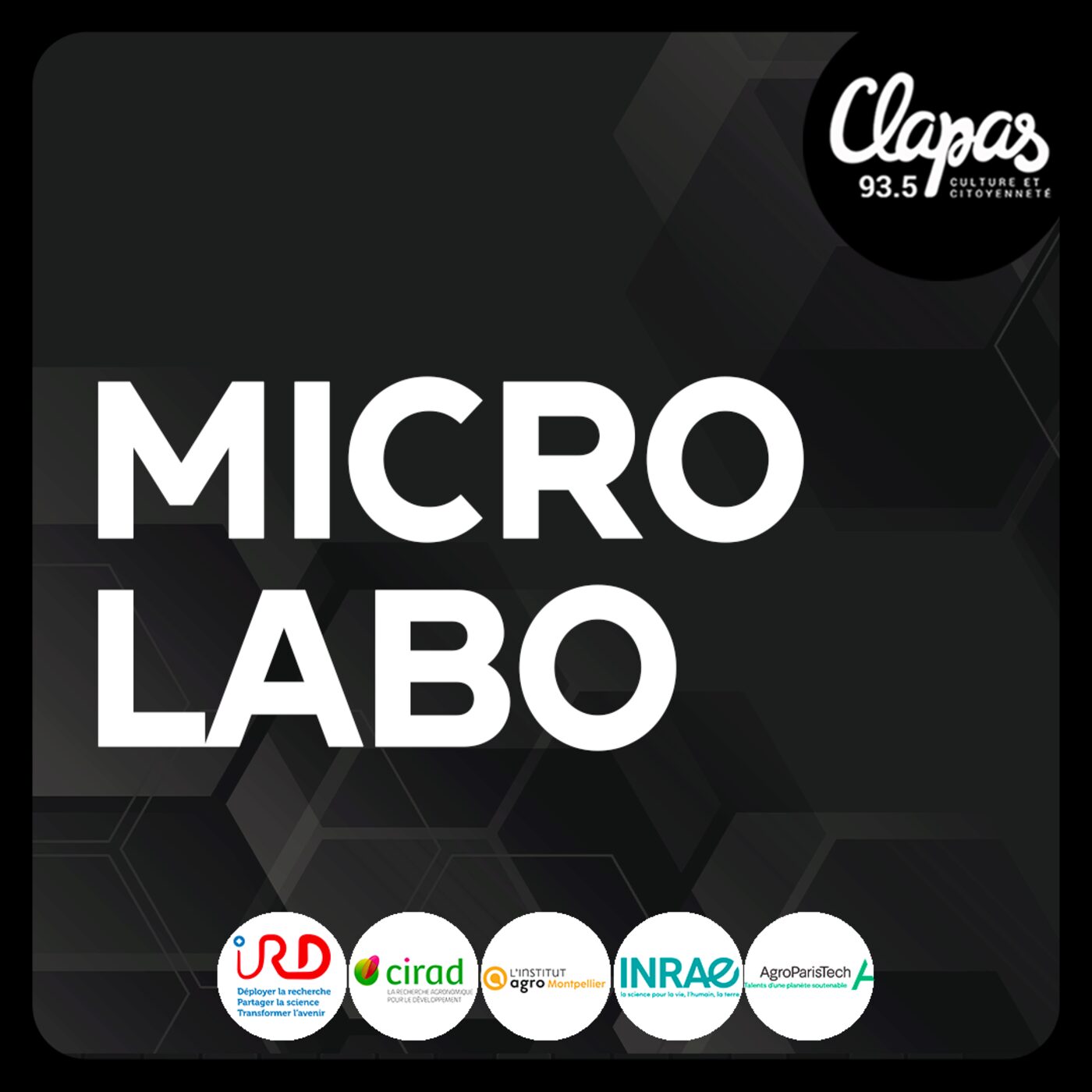 Micro Labo