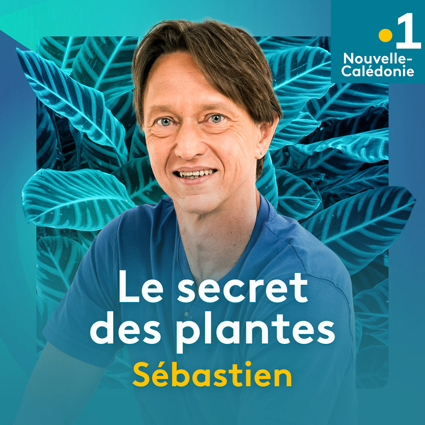 Le secret des plantes