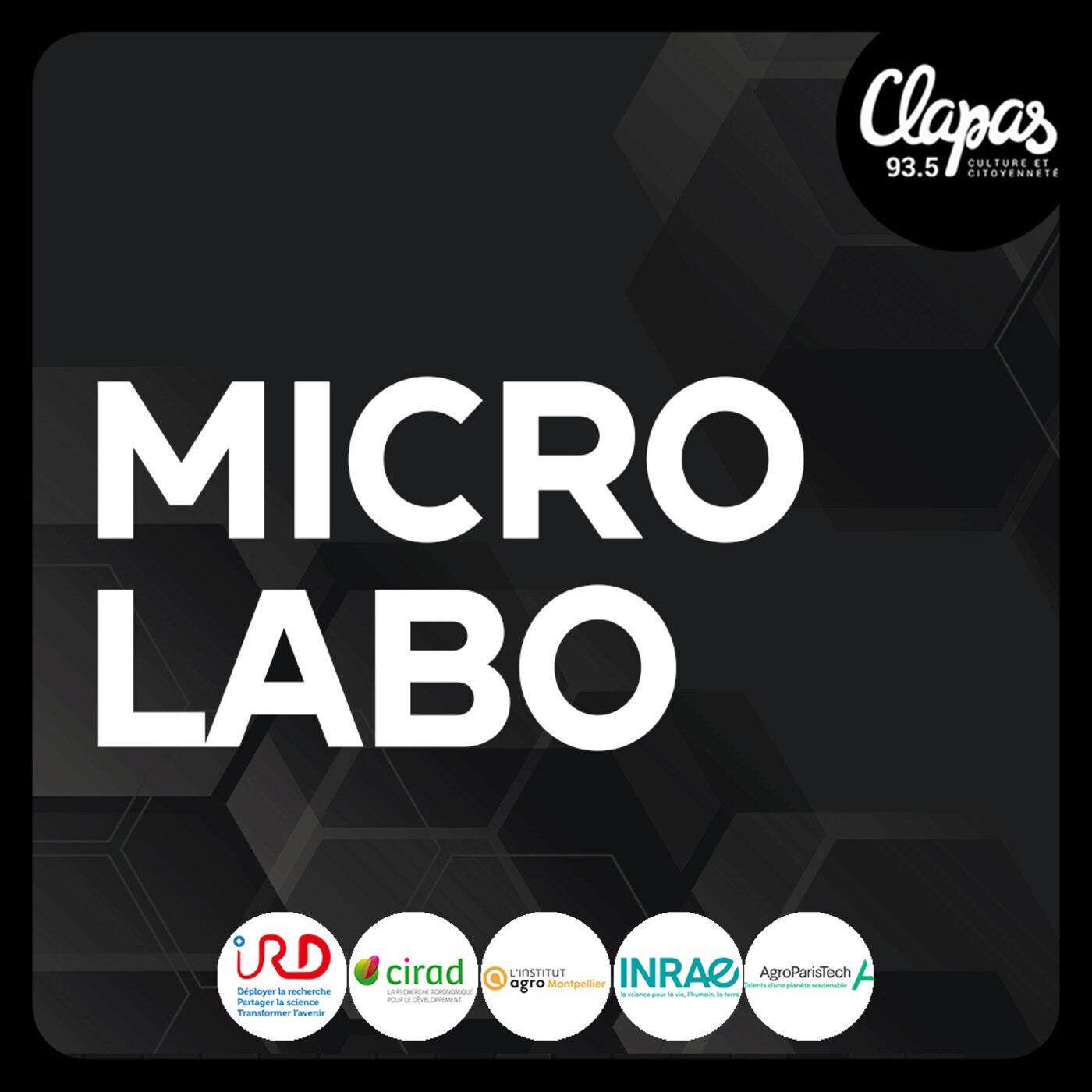 episode cover Anne-Laure Decombeix, paléobotaniste et chercheuse au CNRS affectée à l'UMR AMAP,au sein du laboratoire botanique et modélisation de l'architecture des plantes et des végétations à Montpellier, nous parlent de la biologie, l'évolution et la diversité des plantes